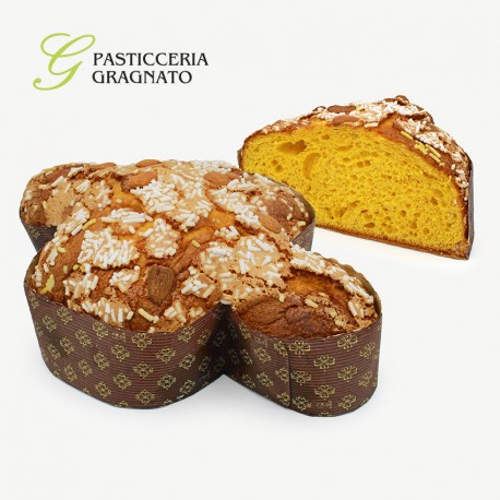 COLOMBA GRAGNATO