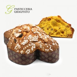 COLOMBA UVETTA GRAGNATO